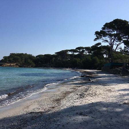 Appartement A Six Fours/Le Brusc Six-Fours-les-Plages Luaran gambar